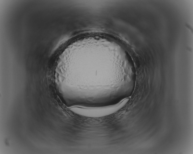 X0000098101255200804251356