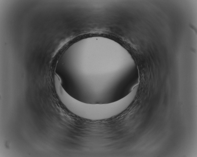 X0000098101256200804251356