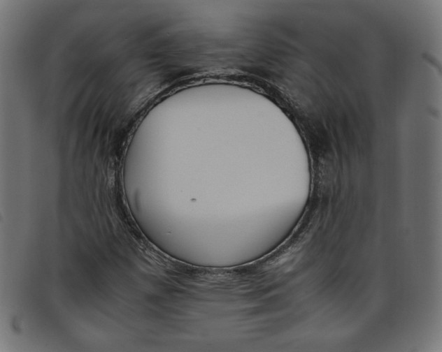X0000098101257200804251356