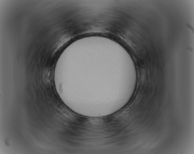 X0000098101258200804251356