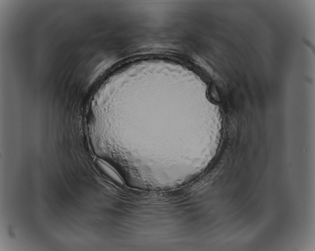 X0000098101259200804251356
