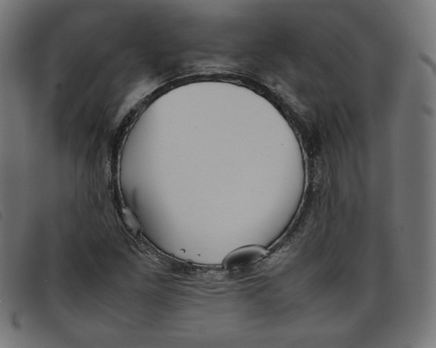 X0000098101261200804251356