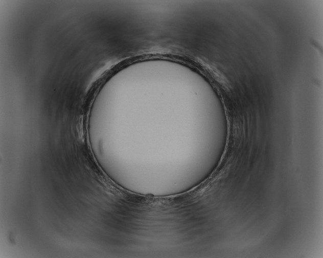 X0000098101262200804251356