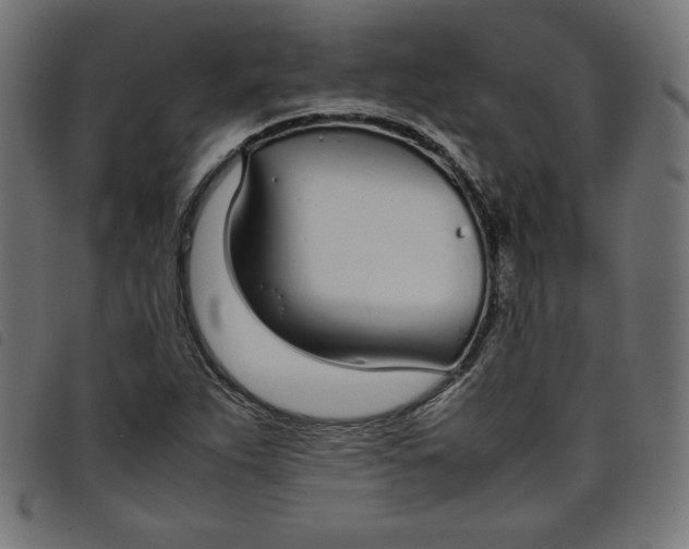 X0000098101263200804251356