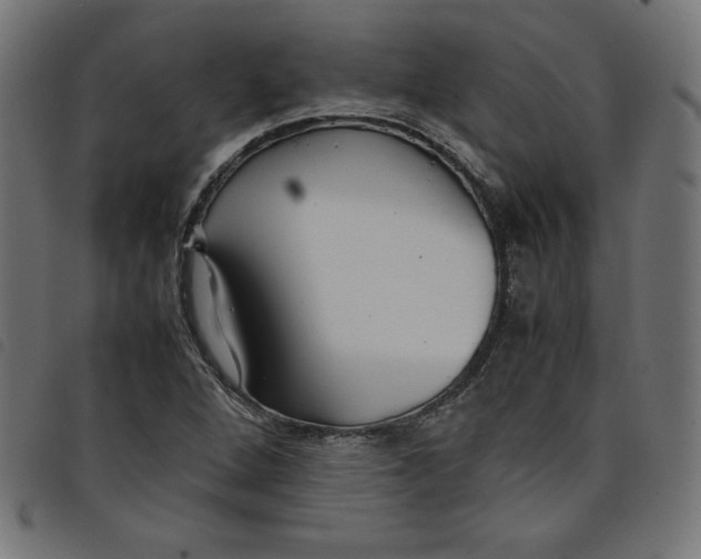 X0000098101264200804251356