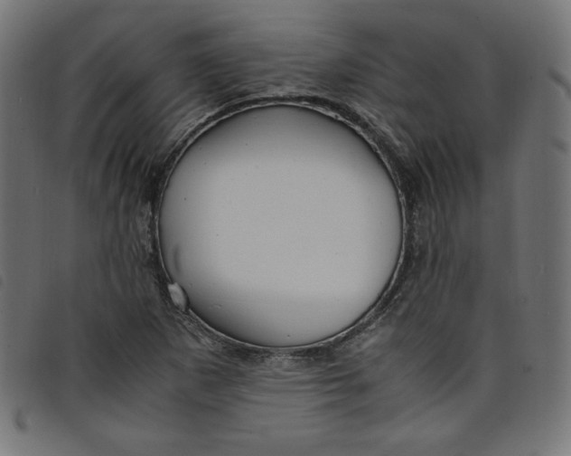 X0000098101265200804251356