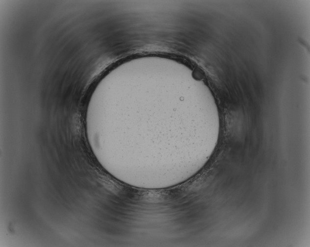 X0000098101266200804251356