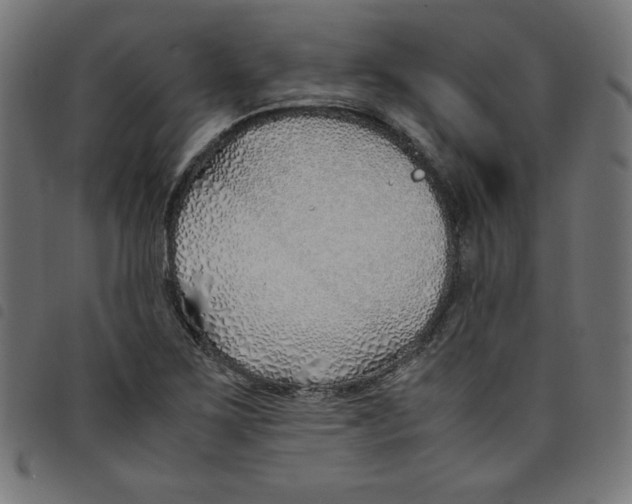 X0000098101267200804251356