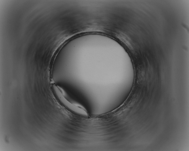 X0000098101268200804251356