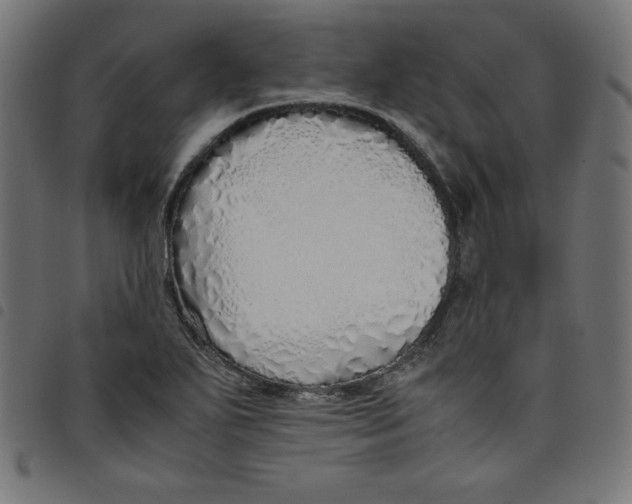 X0000098101271200804251356