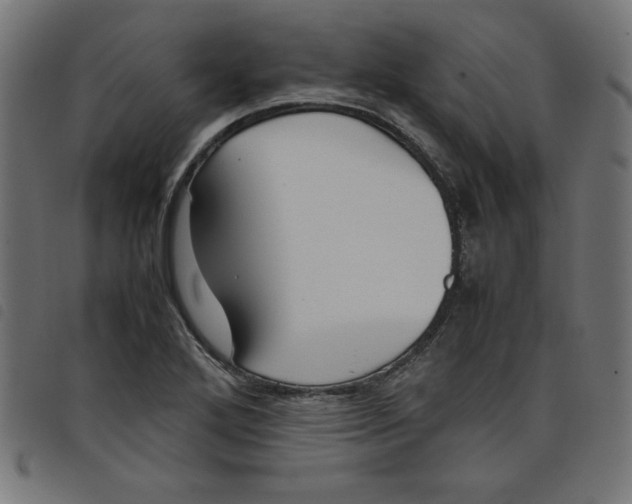 X0000098101272200804251356