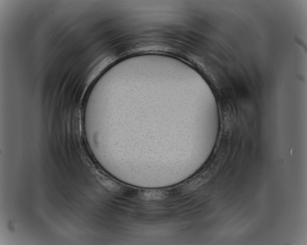 X0000098101274200804251356