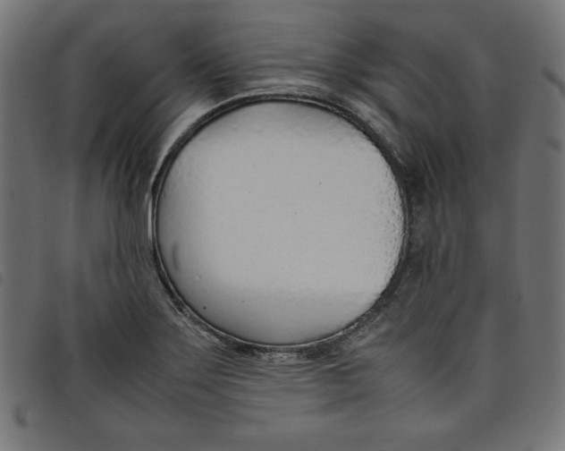 X0000098101275200804251356