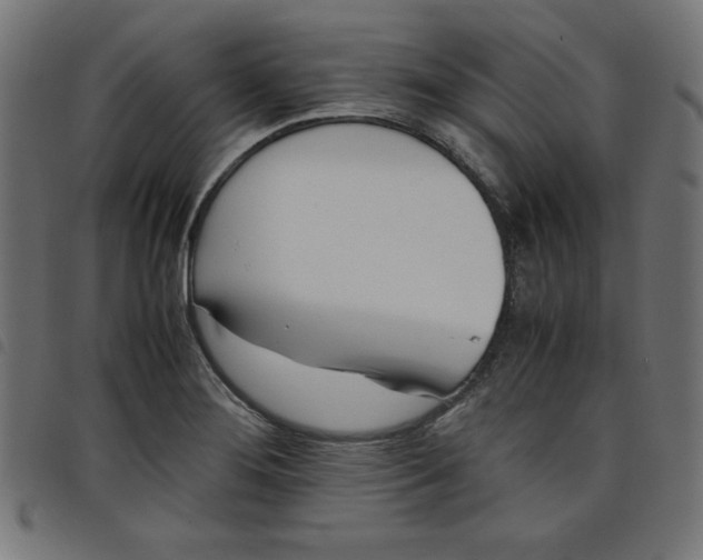 X0000098101276200804251356