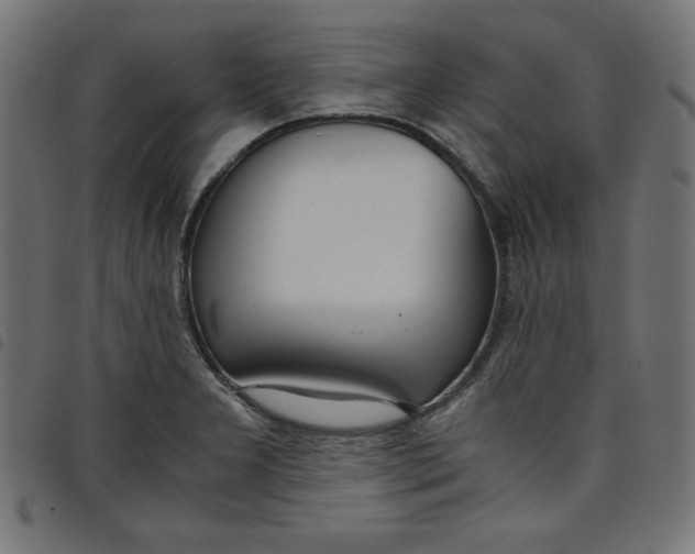X0000098101277200804251356