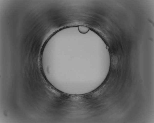 X0000098101278200804251356