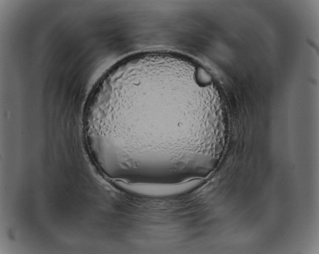 X0000098101279200804251356