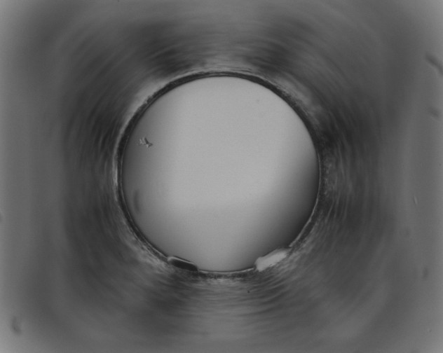 X0000098101280200804251356