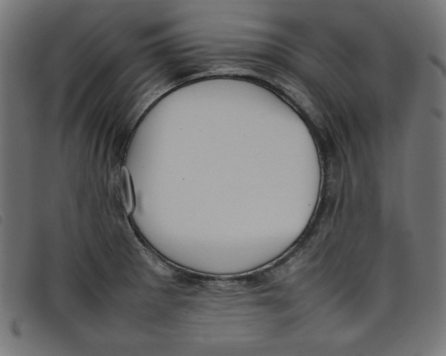 X0000098101281200804251356