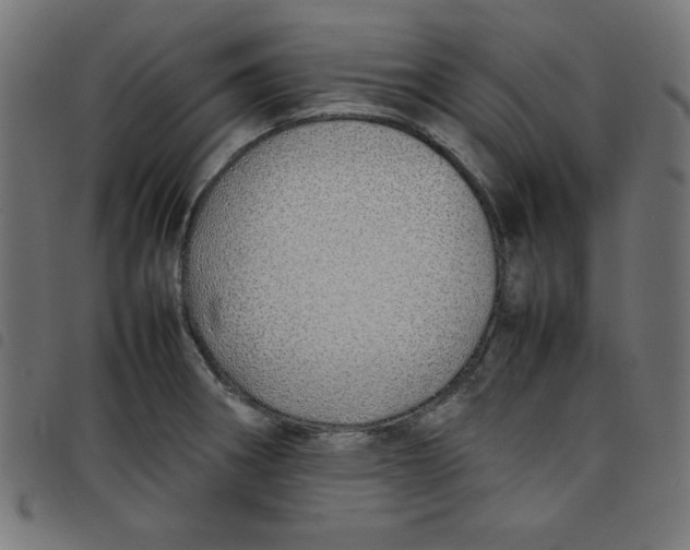 X0000098101282200804251356