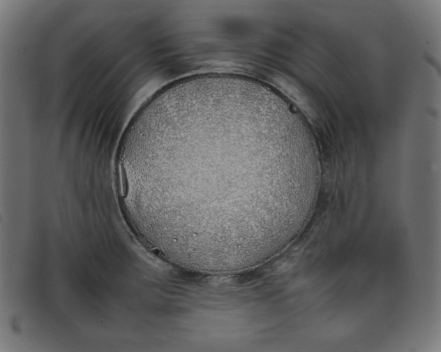 X0000098101283200804251356
