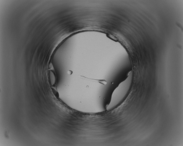 X0000098101284200804251356