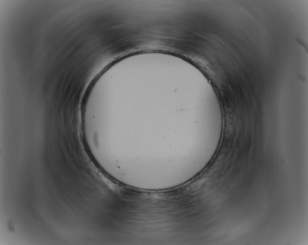 X0000098101286200804251356