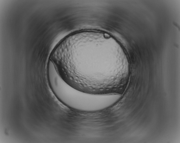 X0000098101287200804251356
