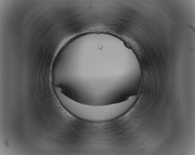 X0000098101288200804251356