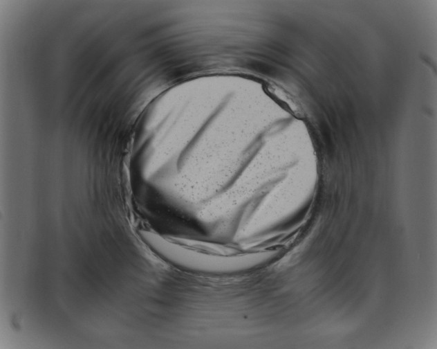 X0000098101289200804251356