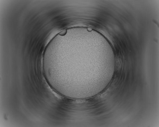 X0000098101290200804251356