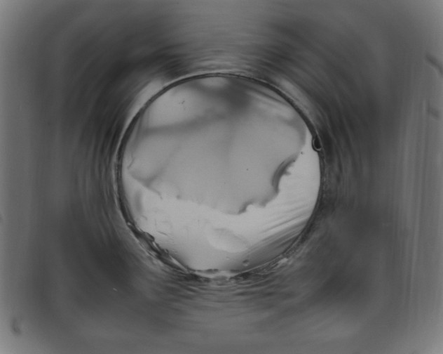 X0000098101291200804251356