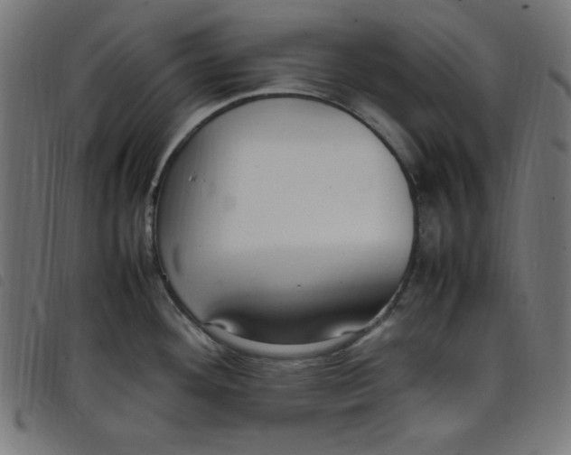 X0000098101292200804251356