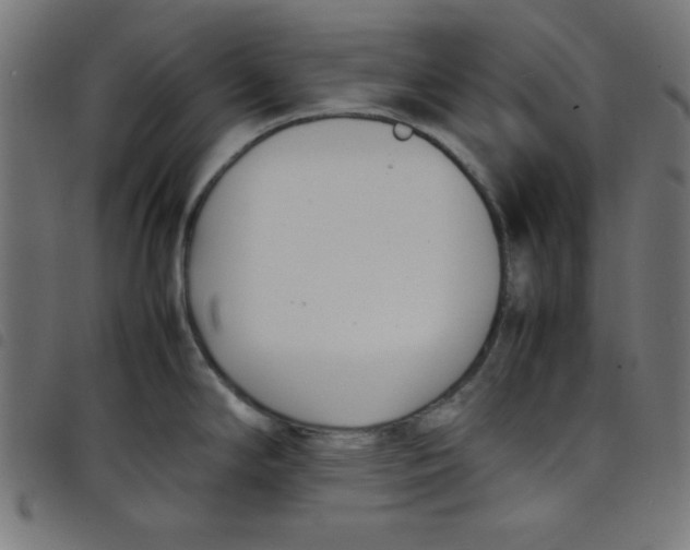 X0000098101294200804251356