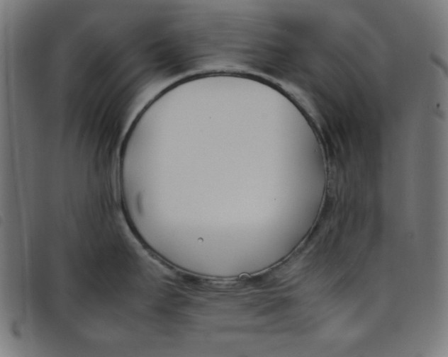X0000098101295200804251356