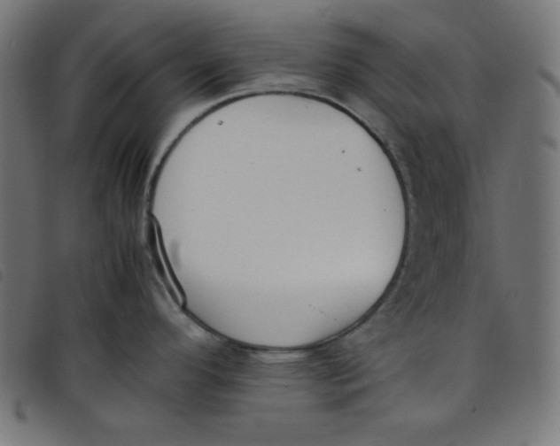 X0000098101296200804251355