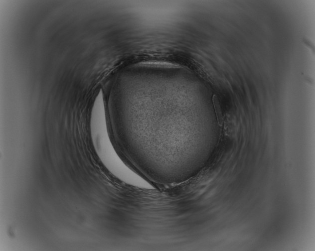 X0000098101298200804251355