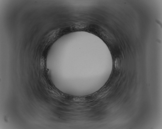 X0000098101299200804251355