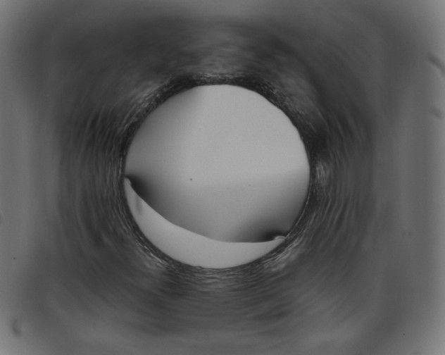X0000098101300200804251355