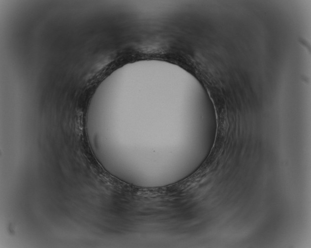 X0000098101301200804251355