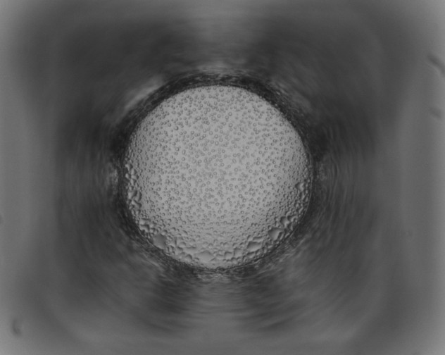 X0000098101302200804251355