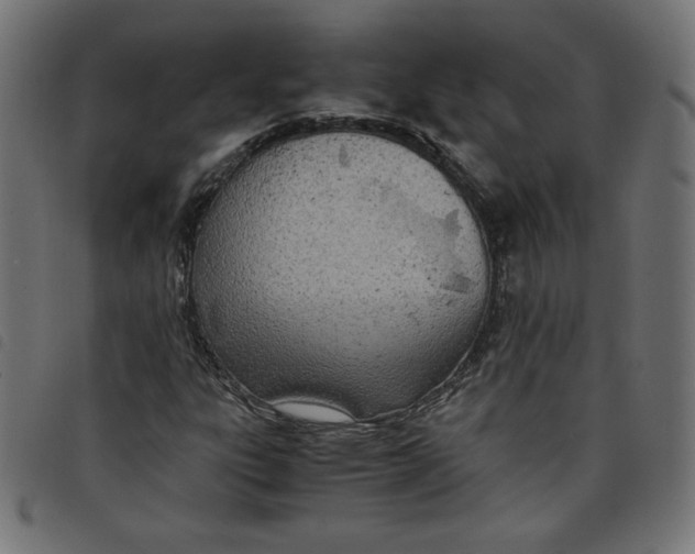 X0000098101303200804251355