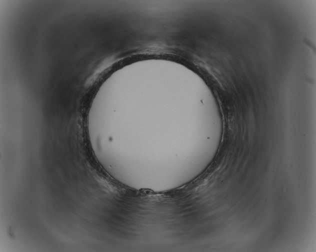 X0000098101304200804251355