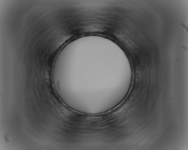 X0000098101305200804251355