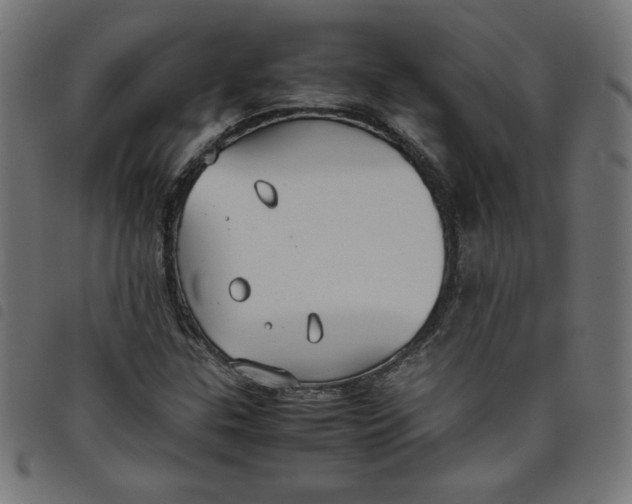 X0000098101307200804251355