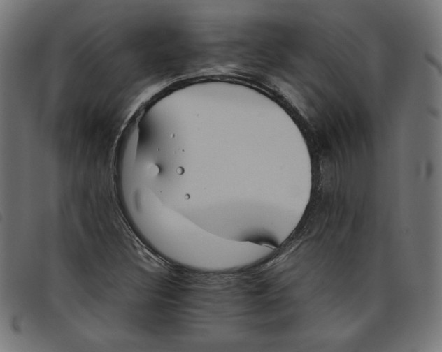 X0000098101308200804251355