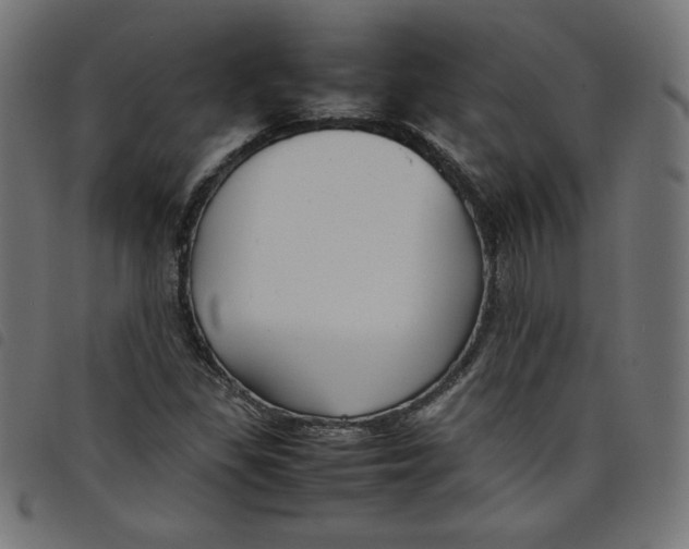X0000098101309200804251355