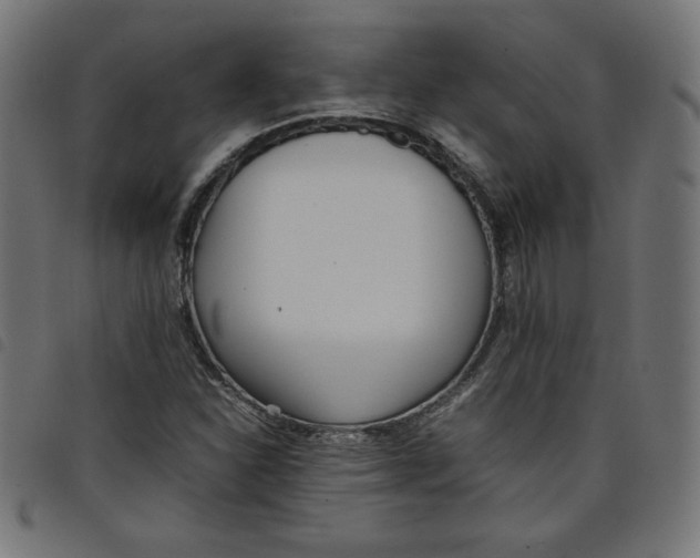 X0000098101310200804251355