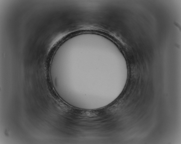 X0000098101311200804251355