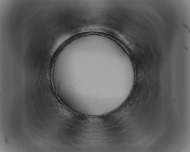 X0000098101312200804251355